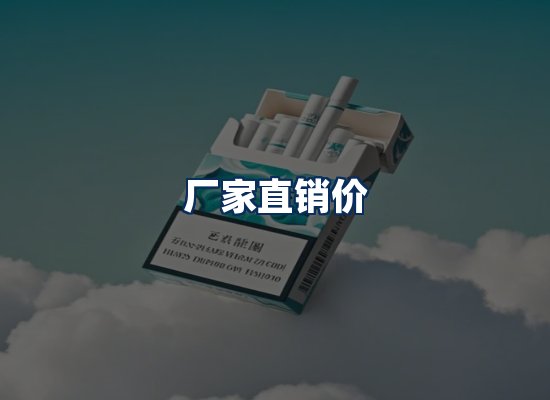 专业团队办公环境